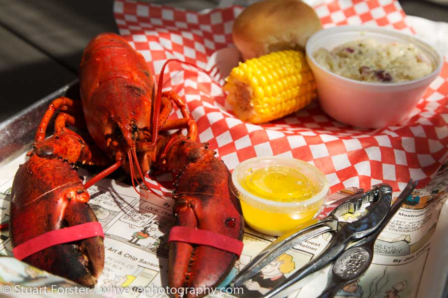 New Brunswick travel photography wouldn't be complete without a lobster dinner. This one is served at Alma