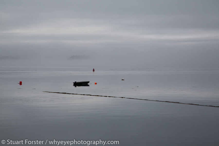 Fog shrouds the town of Lubec in Maine, USA. The town overlooks the Lubec Narrows which separate the USA and Canada.