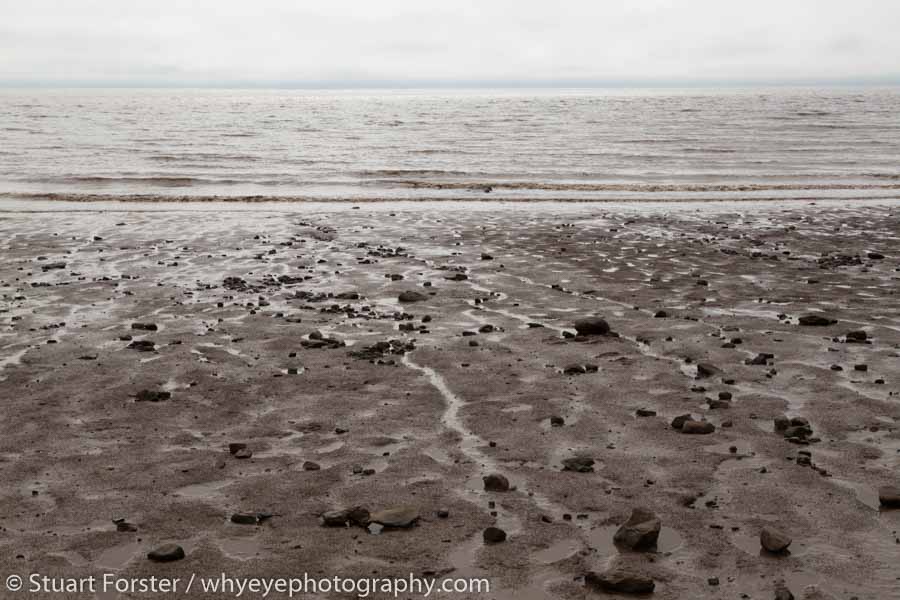 Mudflats by the Hopewell Rocks on the Bay of Fundy.