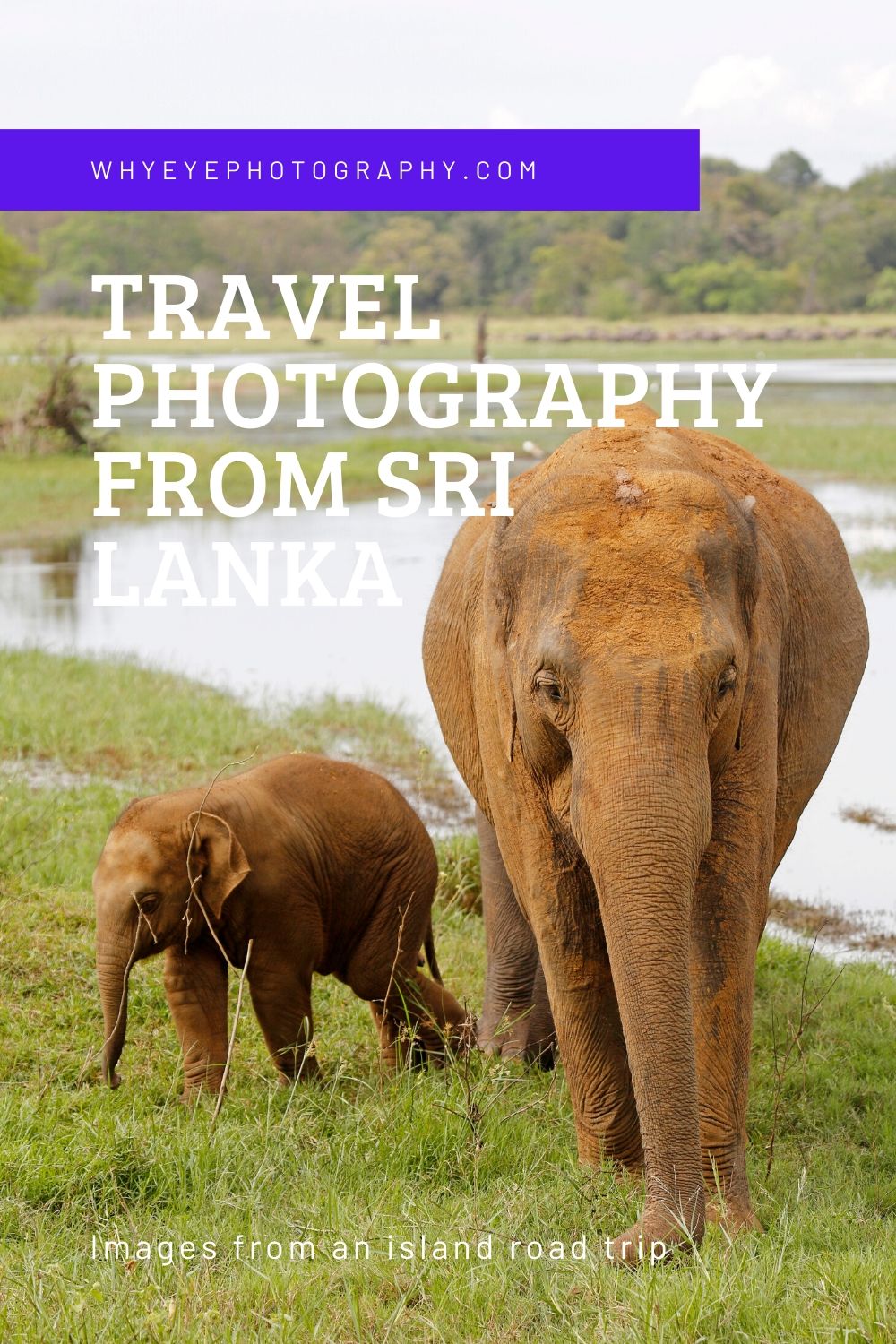Pinterest pin for the whyeyephotography.com blog post about Sri Lanka travel photography.