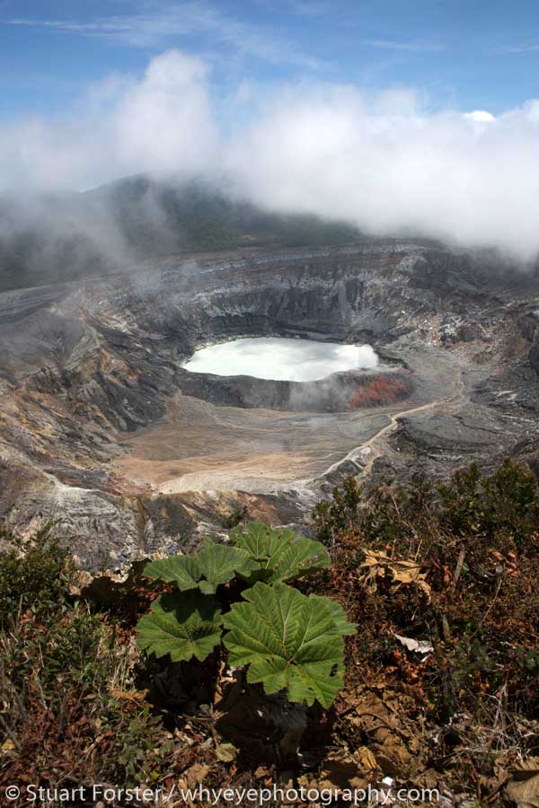 Crater of Poas Volcano in Parque Nacional Volcan Poas in the Cordillera Central Mountain Range part of a study of wildlife and nature photography in Costa Rica