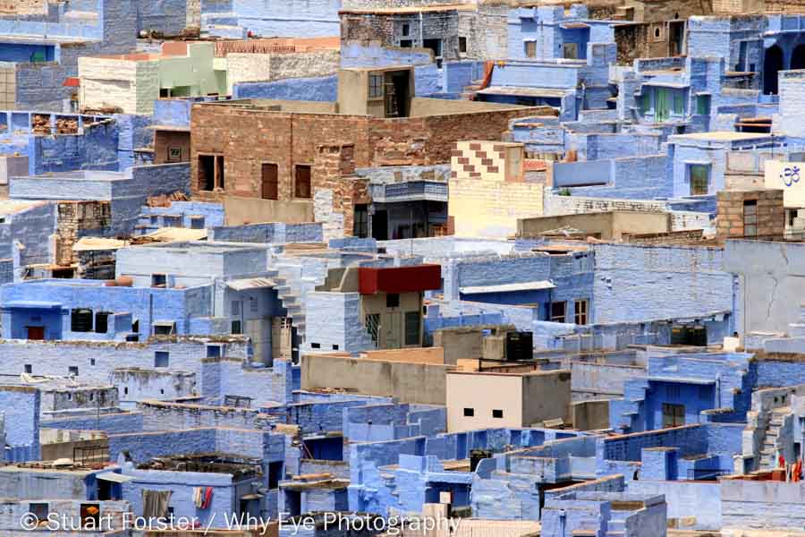 Houses in the 'Blue City' of Jodhpur in Rajasthan, India.