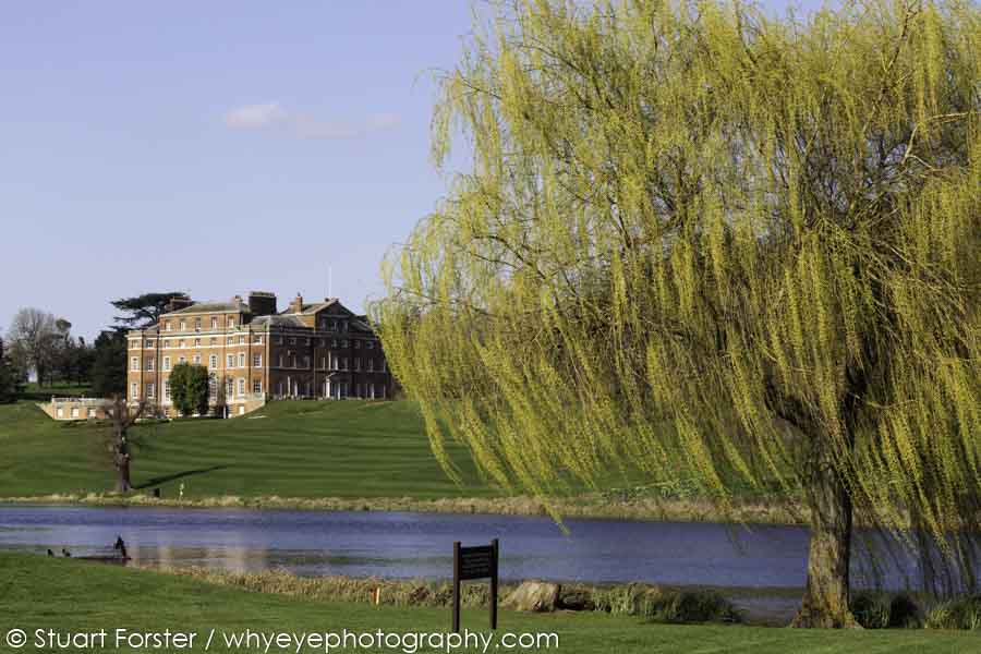 A weeping willow by the Broadwater during a spring day on Brocket Hall Estate